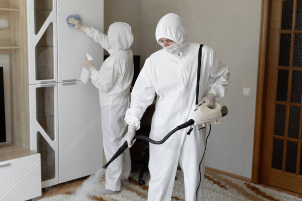 Mold Removal and Inspection in Carnot Moon, PA